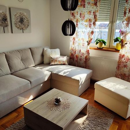 Apartment Rosa Novi Sad Extérieur photo