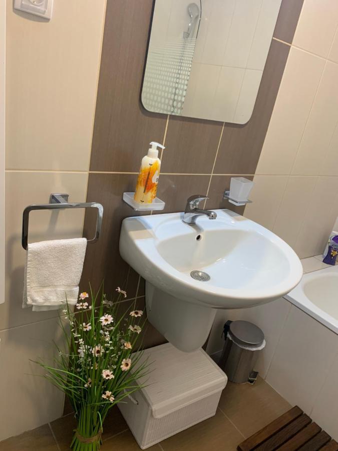Apartment Rosa Novi Sad Extérieur photo