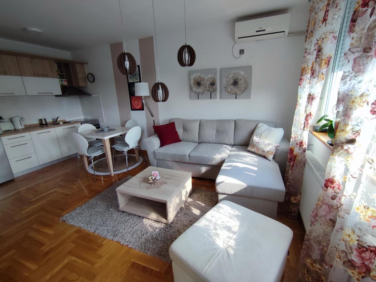 Apartment Rosa Novi Sad Extérieur photo
