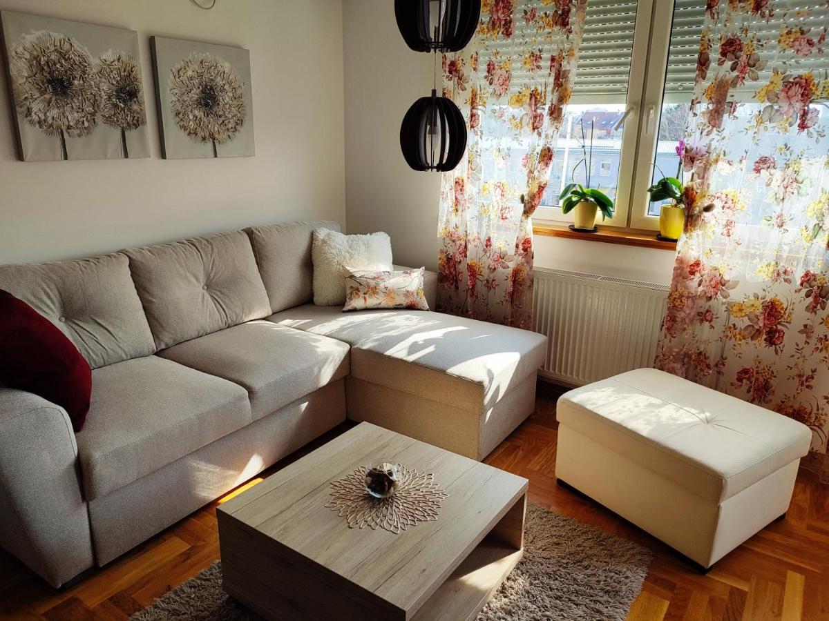 Apartment Rosa Novi Sad Extérieur photo