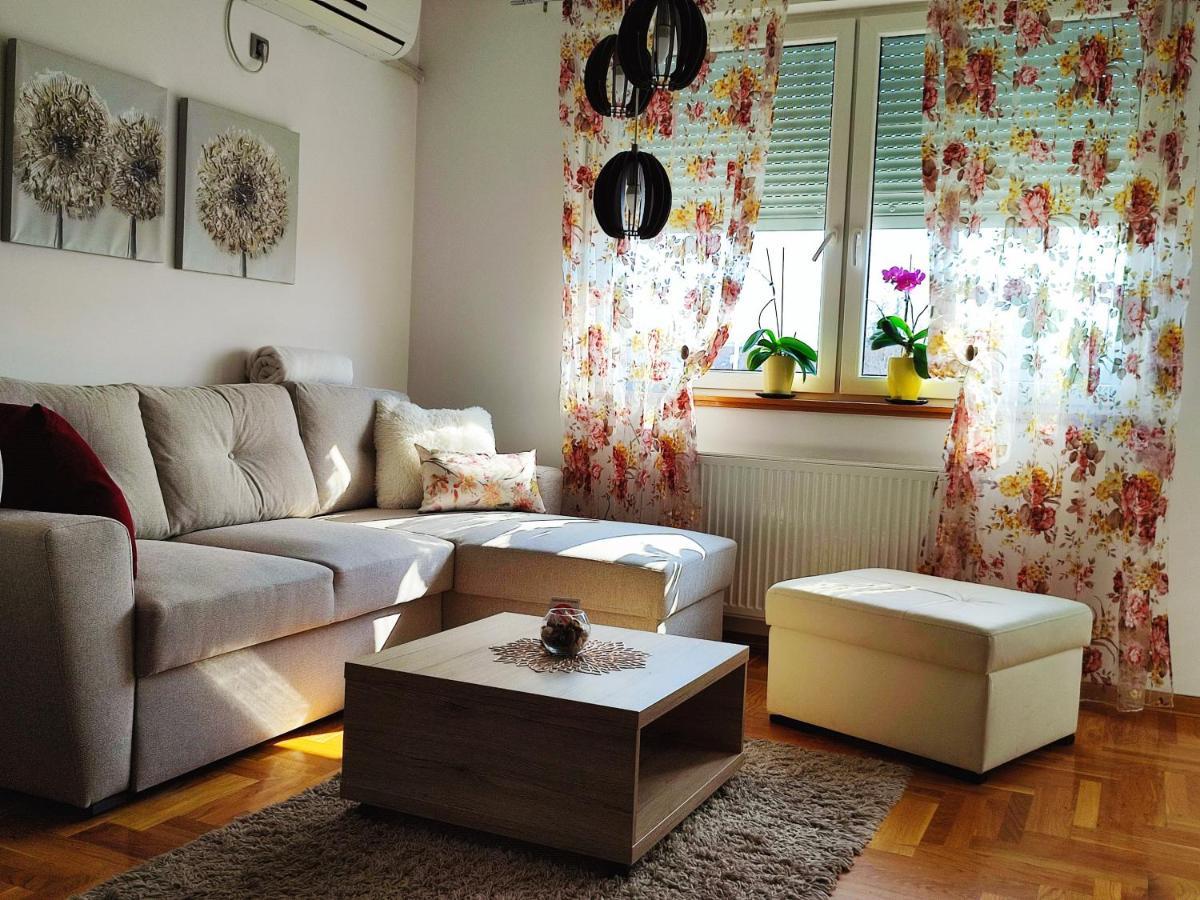 Apartment Rosa Novi Sad Extérieur photo