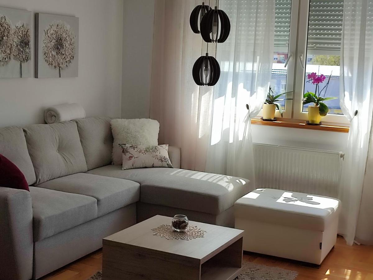 Apartment Rosa Novi Sad Extérieur photo
