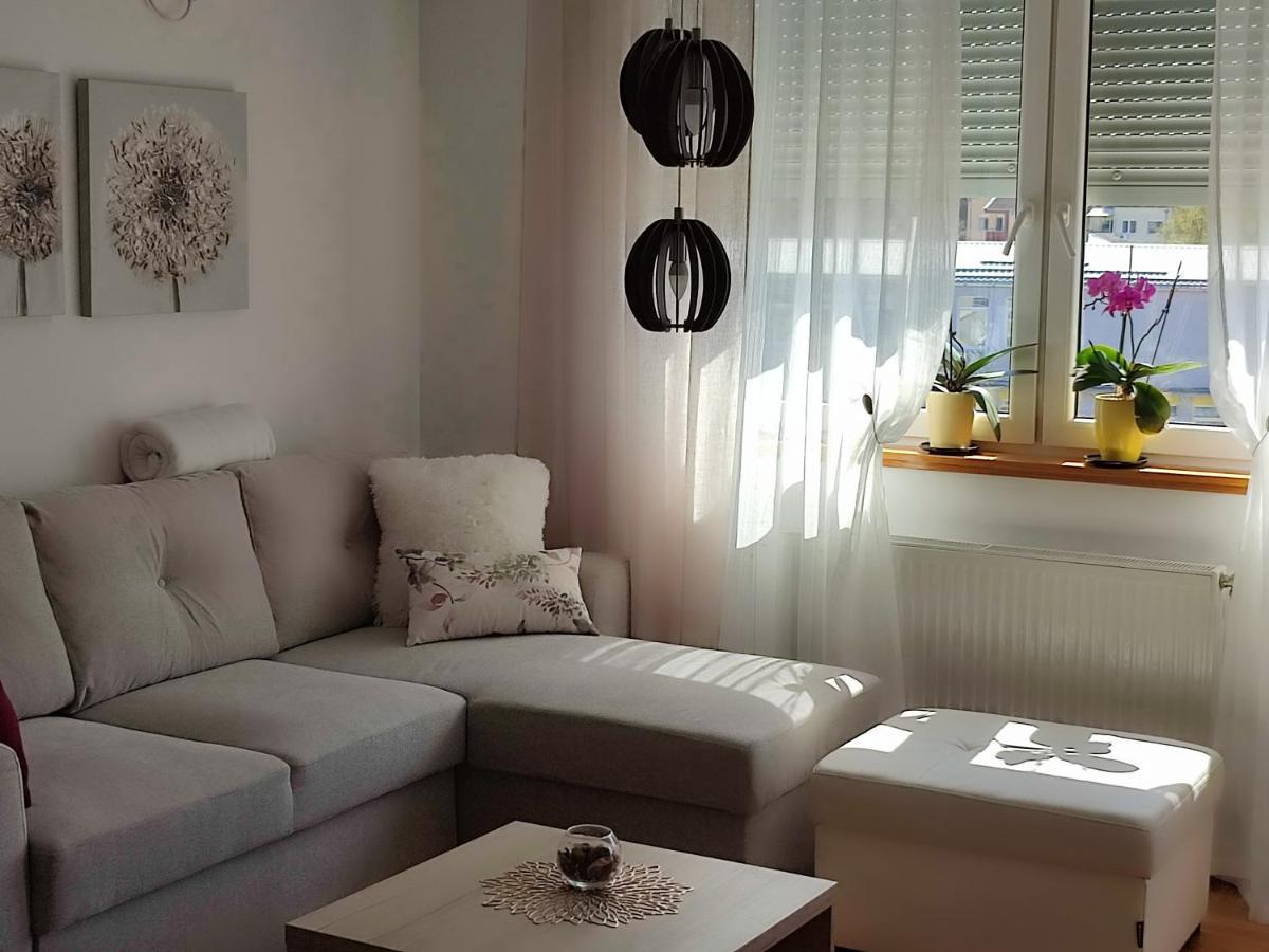 Apartment Rosa Novi Sad Extérieur photo